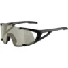 Alpina HAWKEYE Q-LITE spordiprillid