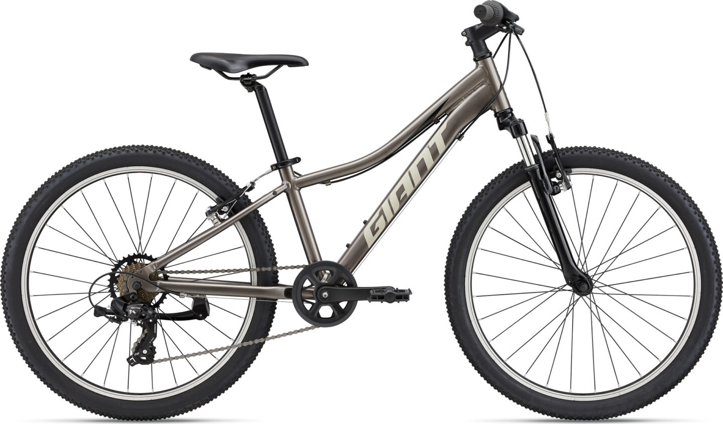 Laste jalgratas Giant XTC Jr 24″