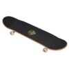 Rula Street Surfing 31" Street and Roses II
