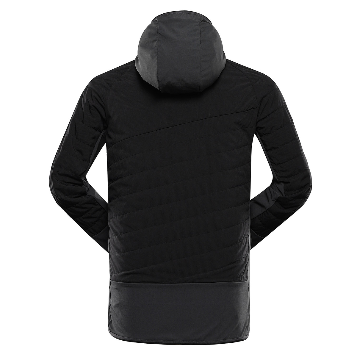 Meeste spordijakk Alpine Pro MORGEN