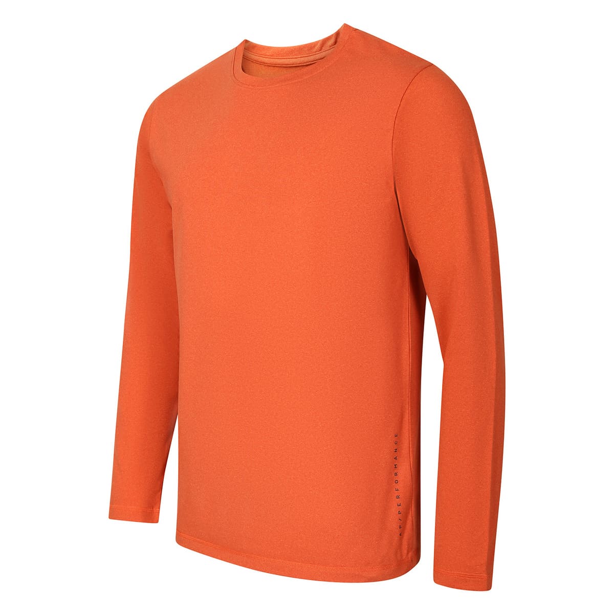 Meeste pikkade varrukatega spordisärk Alpine Pro LOUS