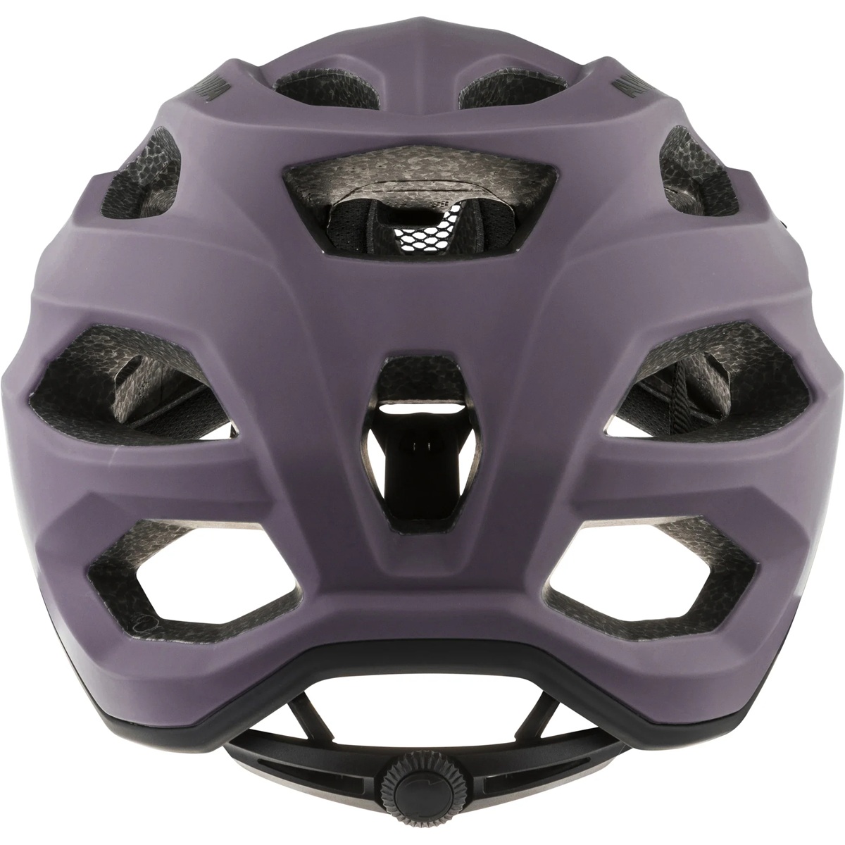 Kiiver Alpina CARAPAX 2.0