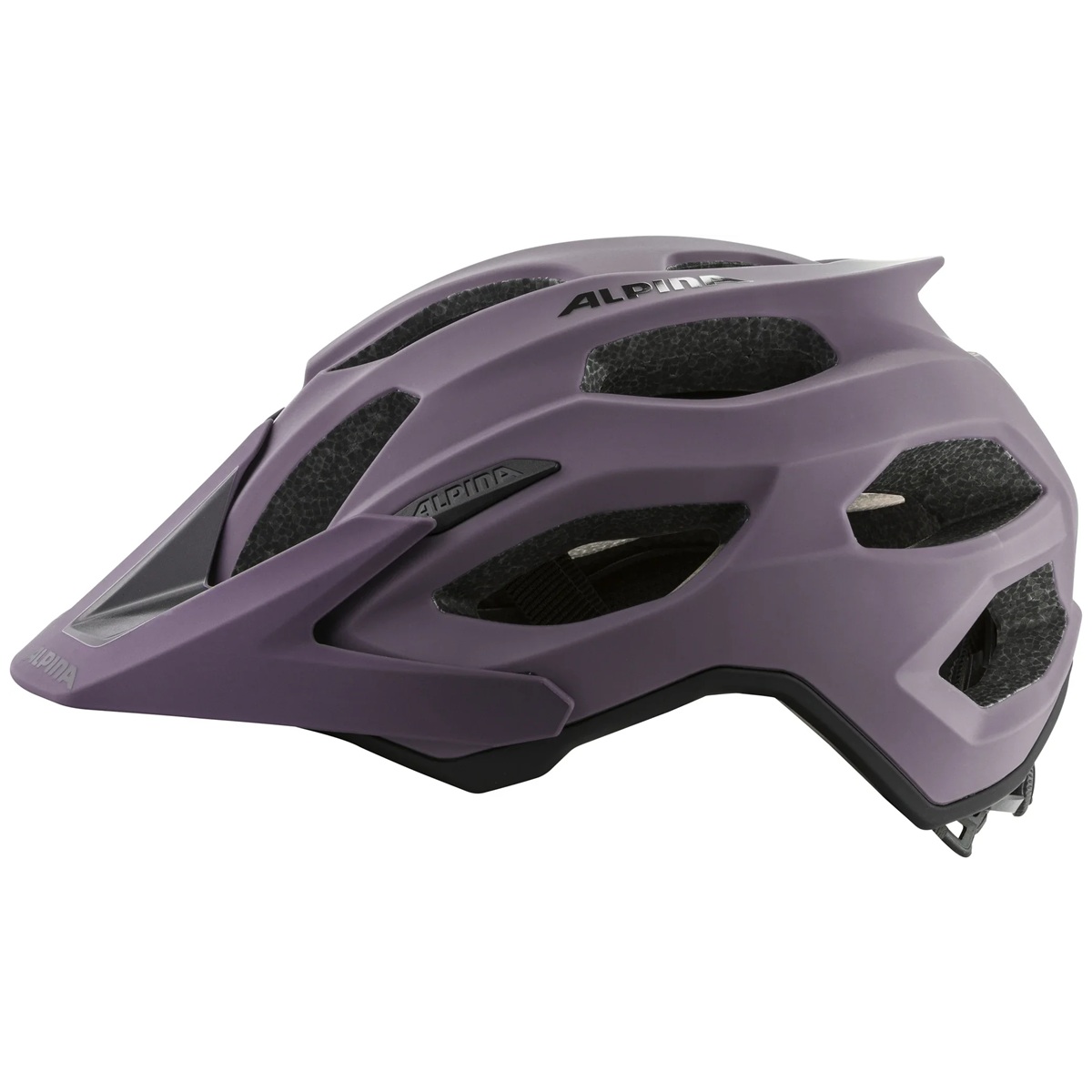 Kiiver Alpina CARAPAX 2.0