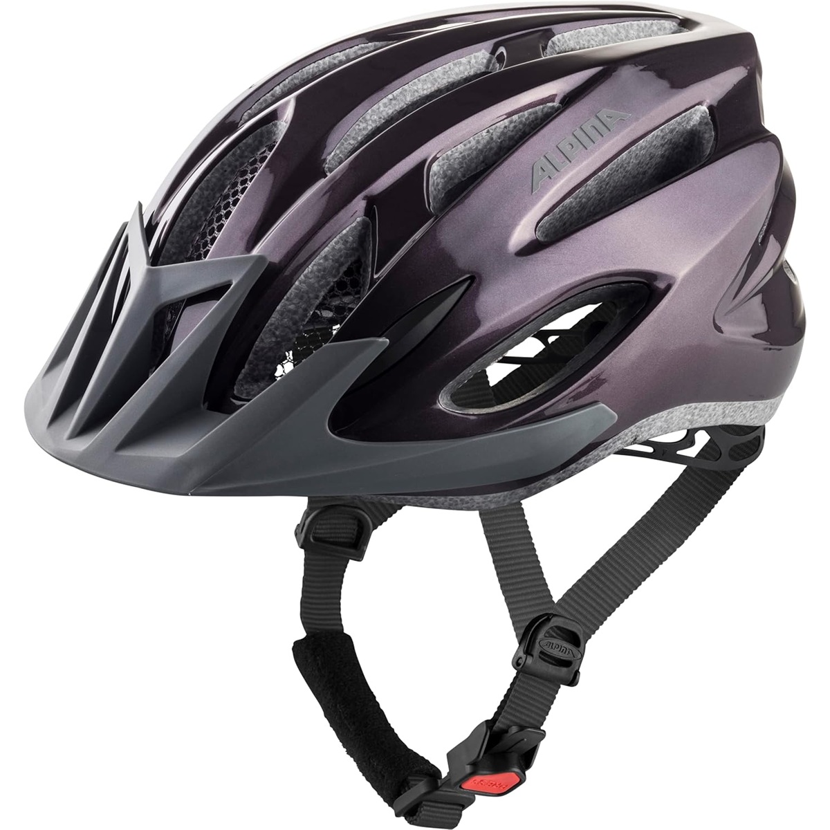 Kiiver Alpina MTB 17