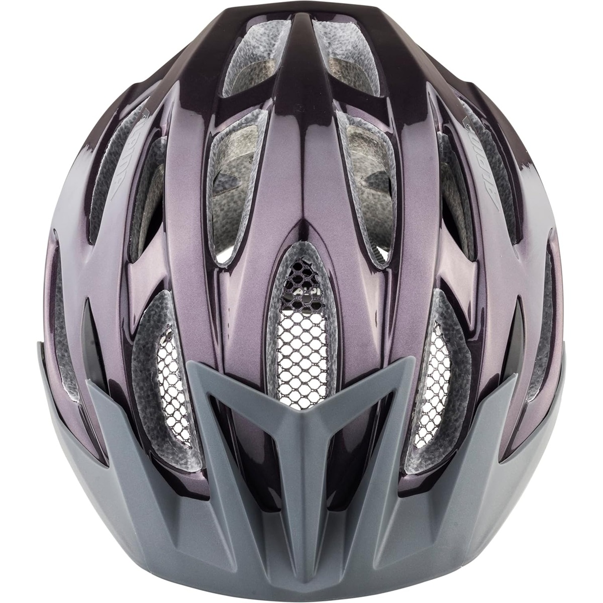 Kiiver Alpina MTB 17