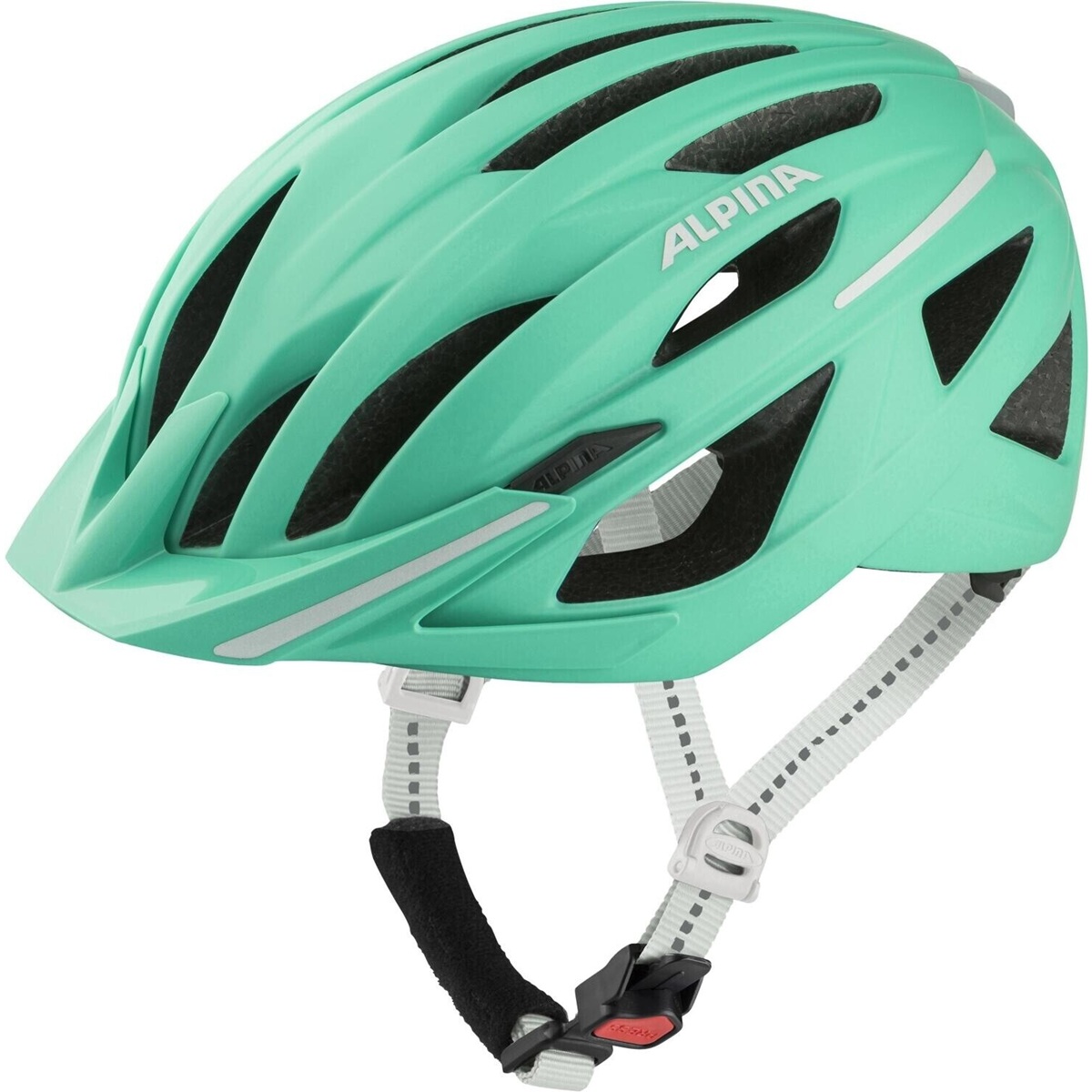 Kiiver Alpina HAGA