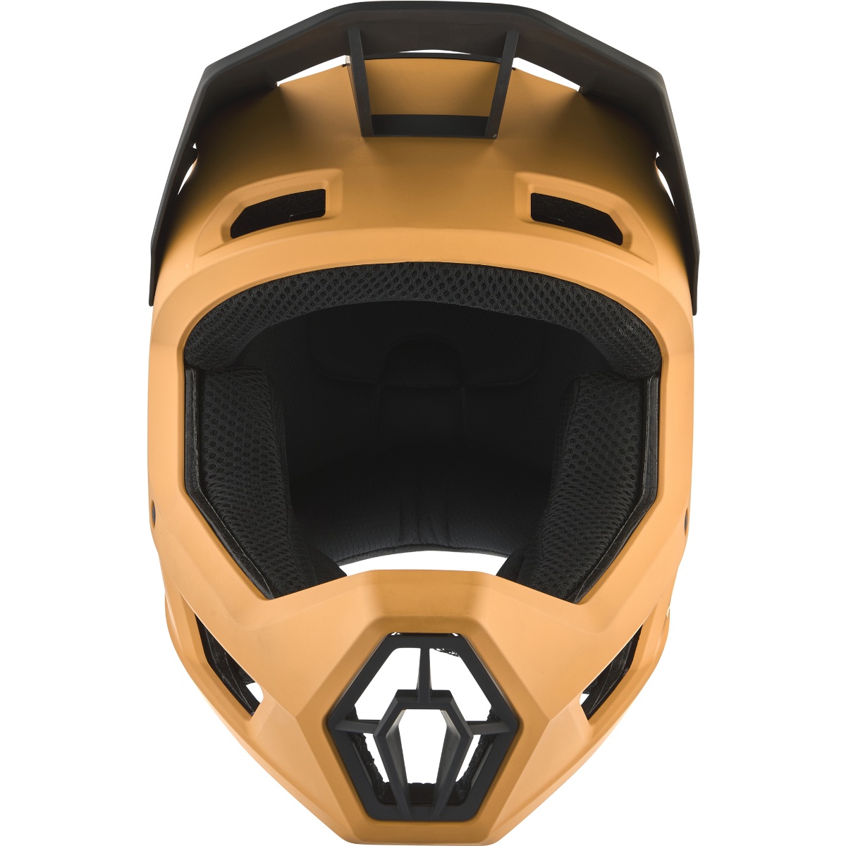 Kiiver Alpina PIKES MIPS