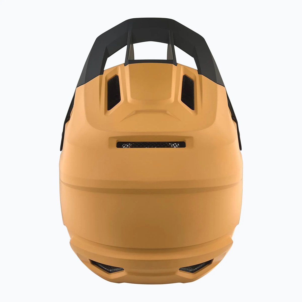 Kiiver Alpina PIKES MIPS