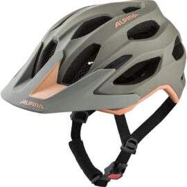 Kiiver Alpina CARAPAX 2.0