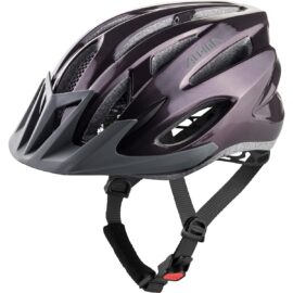 Kiiver Alpina MTB 17