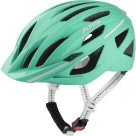 Kiiver Alpina HAGA
