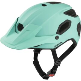 Kiiver Alpina COMOX
